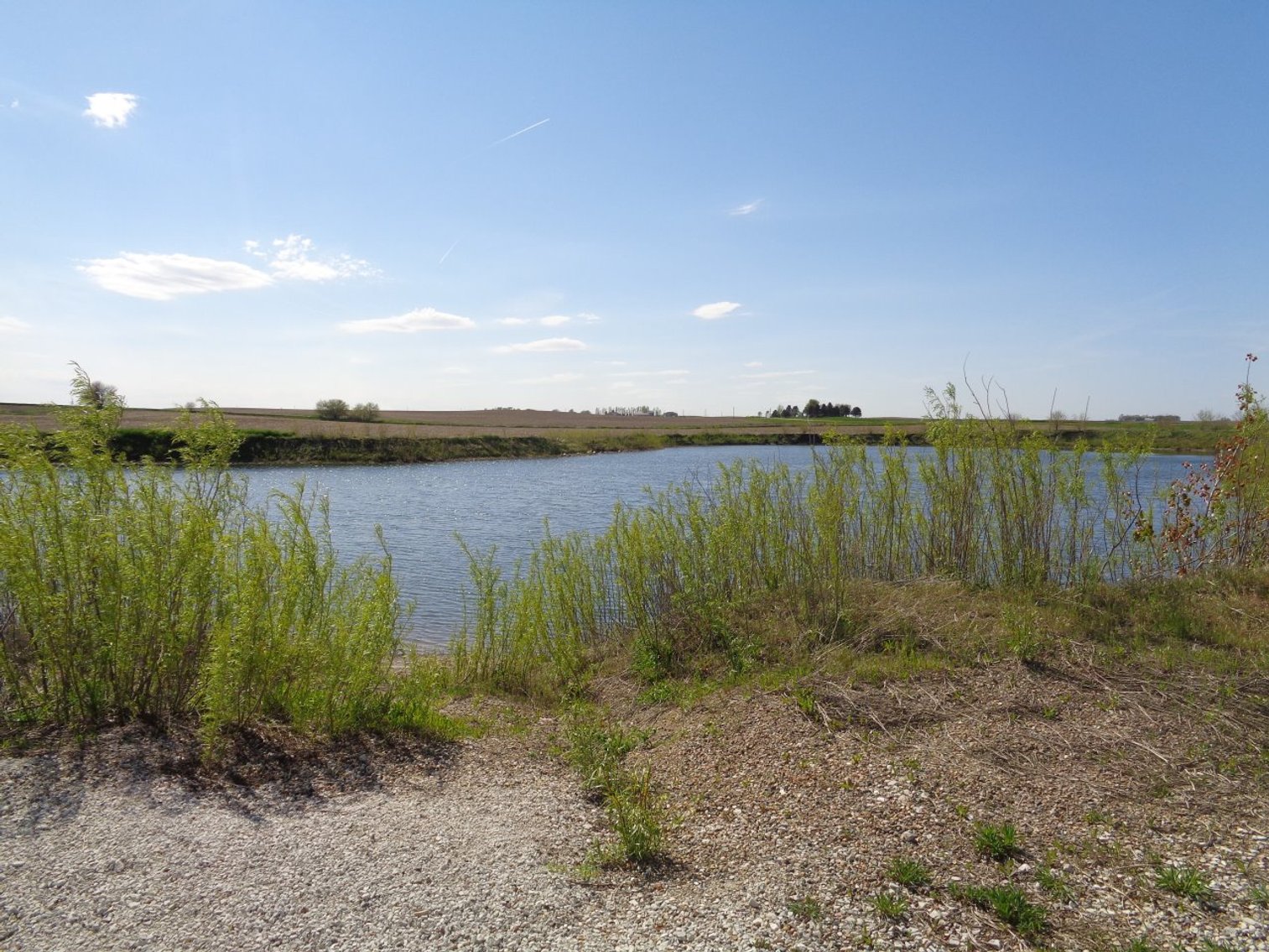 Image for Carroll County, IA Farmland & Acreage