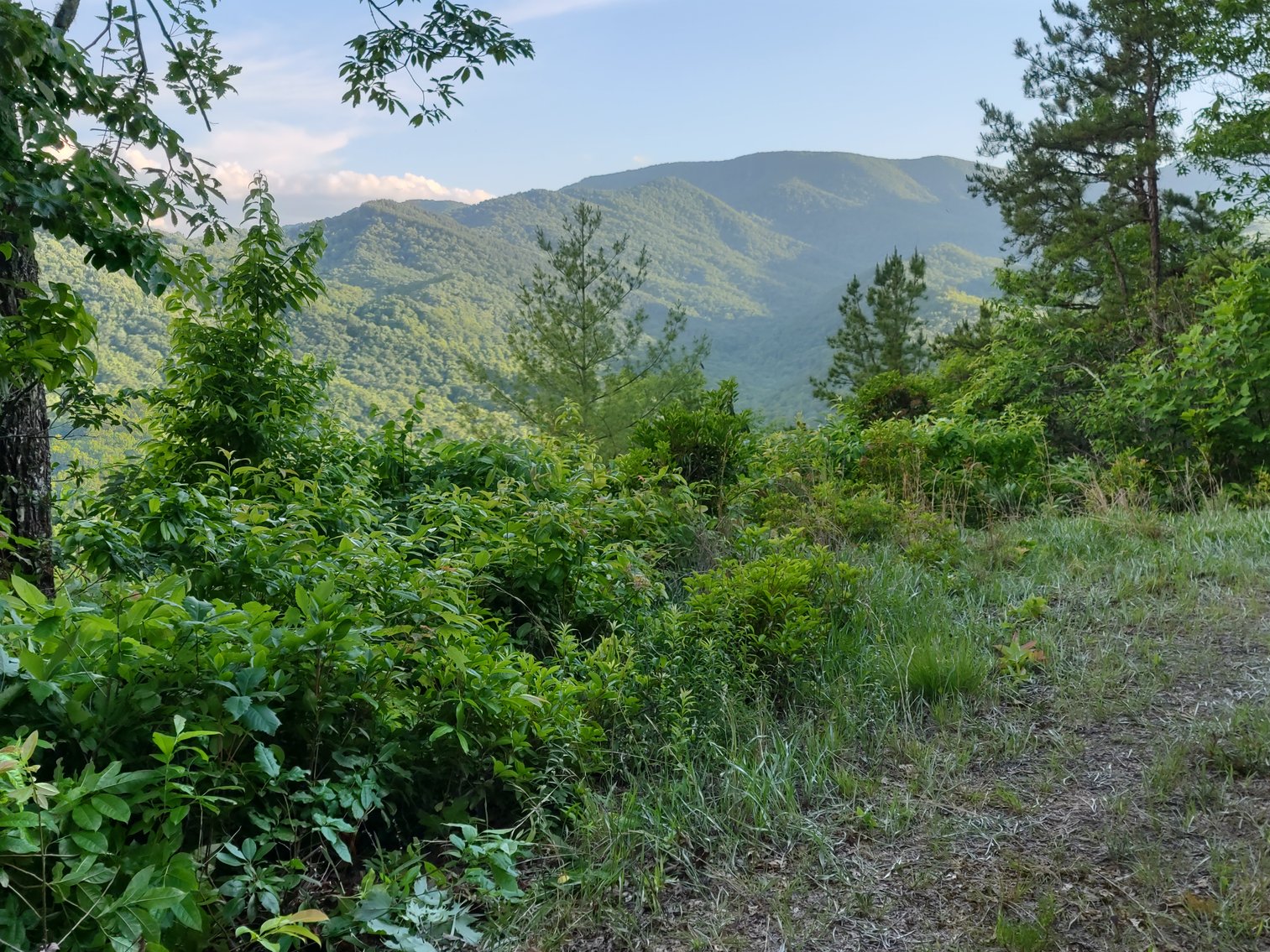 Image for Otto, NC: 10.5± Mountaintop Acres in Heritage Mountain Estates, Otto, NC 28763 (Macon County)