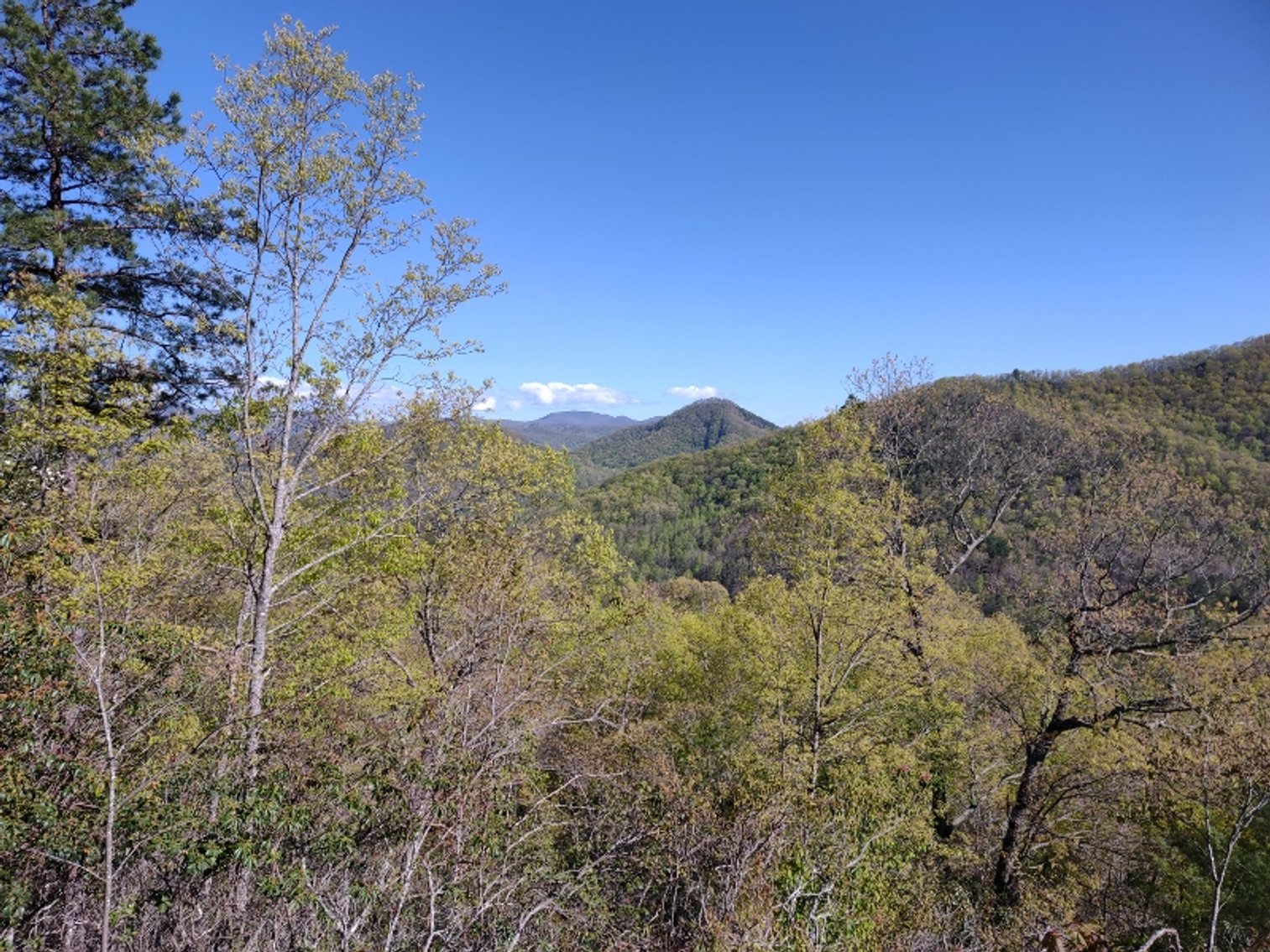 Image for Otto, NC: 10.5± Mountaintop Acres in Heritage Mountain Estates, Otto, NC 28763 (Macon County)