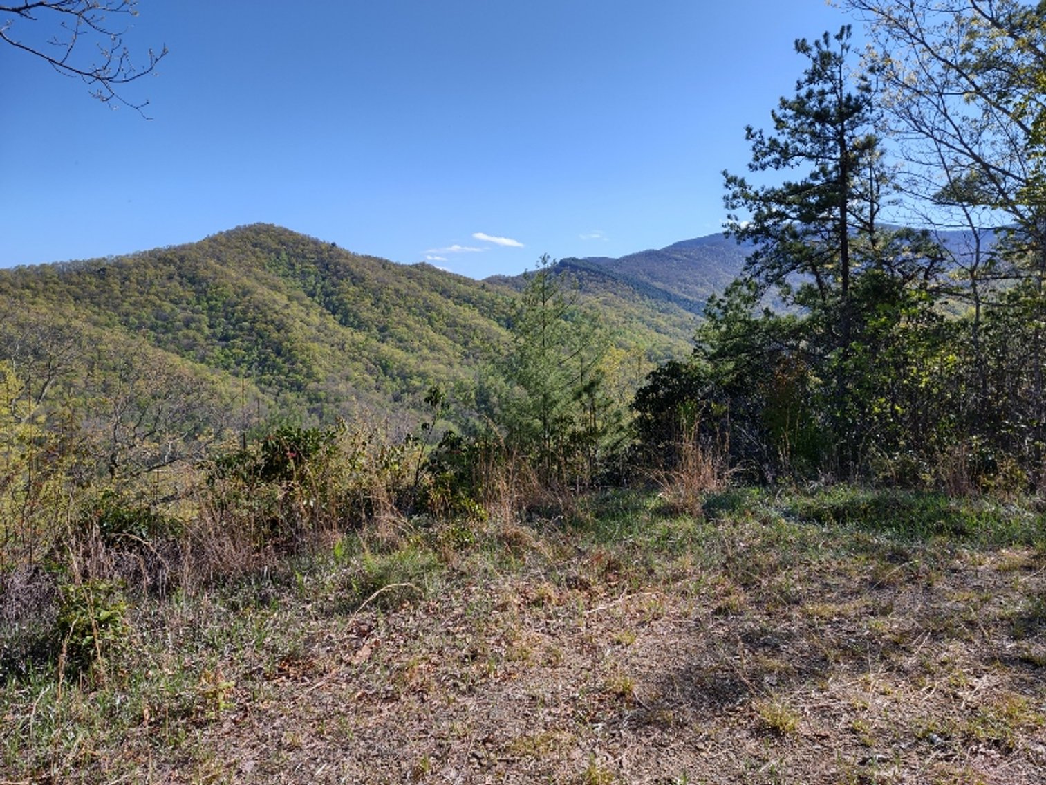 Image for Otto, NC: 10.5± Mountaintop Acres in Heritage Mountain Estates, Otto, NC 28763 (Macon County)