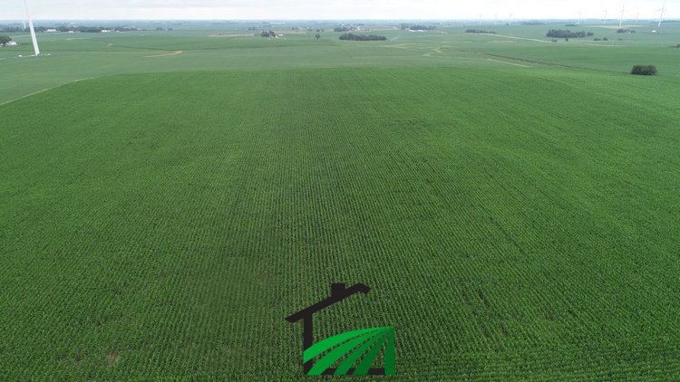 Image for Carroll County, Iowa Farmland Auction