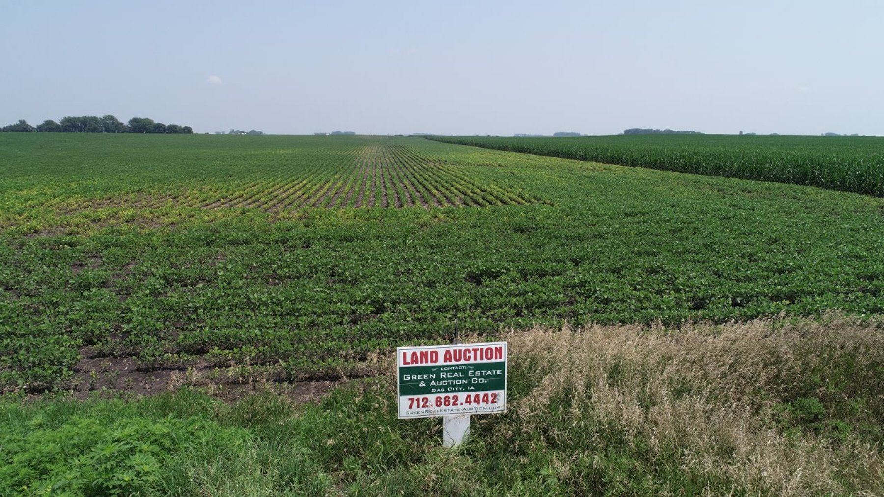 Image for Calhoun County Farmland Auction!