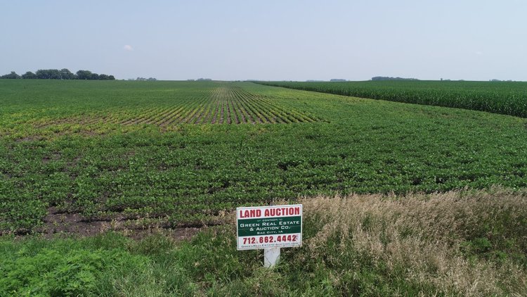 Image for Calhoun County Farmland Auction!