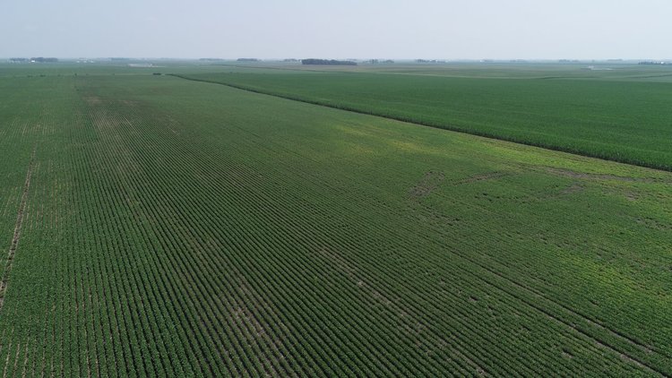 Image for Calhoun County Farmland Auction!