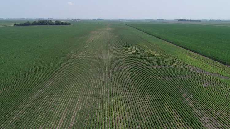 Image for Calhoun County Farmland Auction!