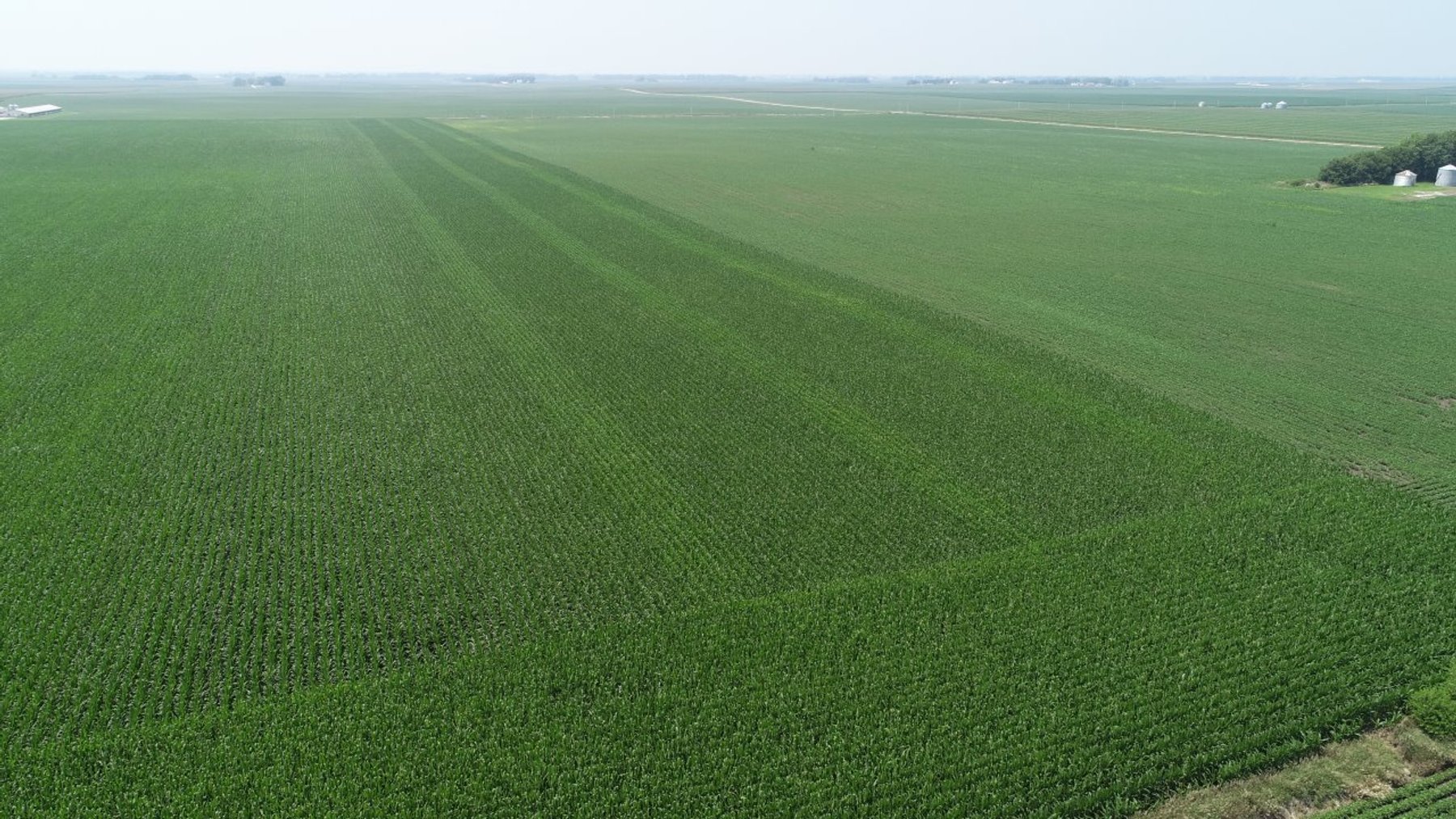 Image for Calhoun County Farmland Auction!