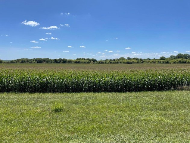 Image for Calhoun County Land Auction!