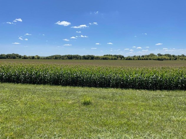 Image for Calhoun County Land Auction!