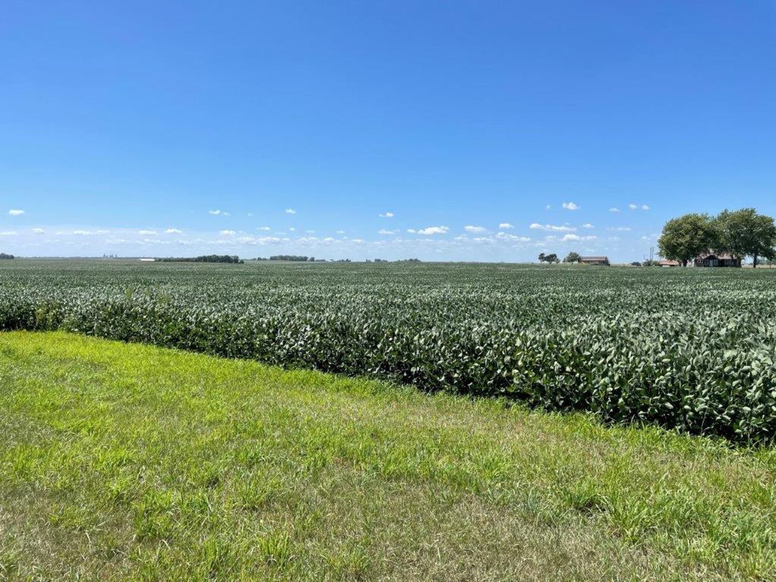 Image for Calhoun County Land Auction!