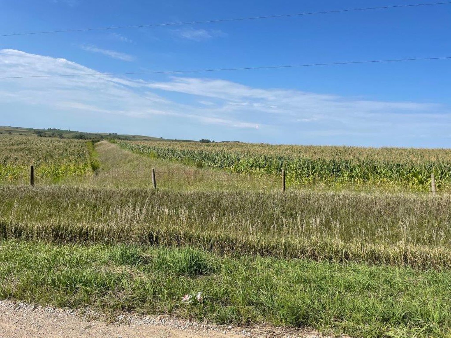 Image for Crawford County Land Auction!