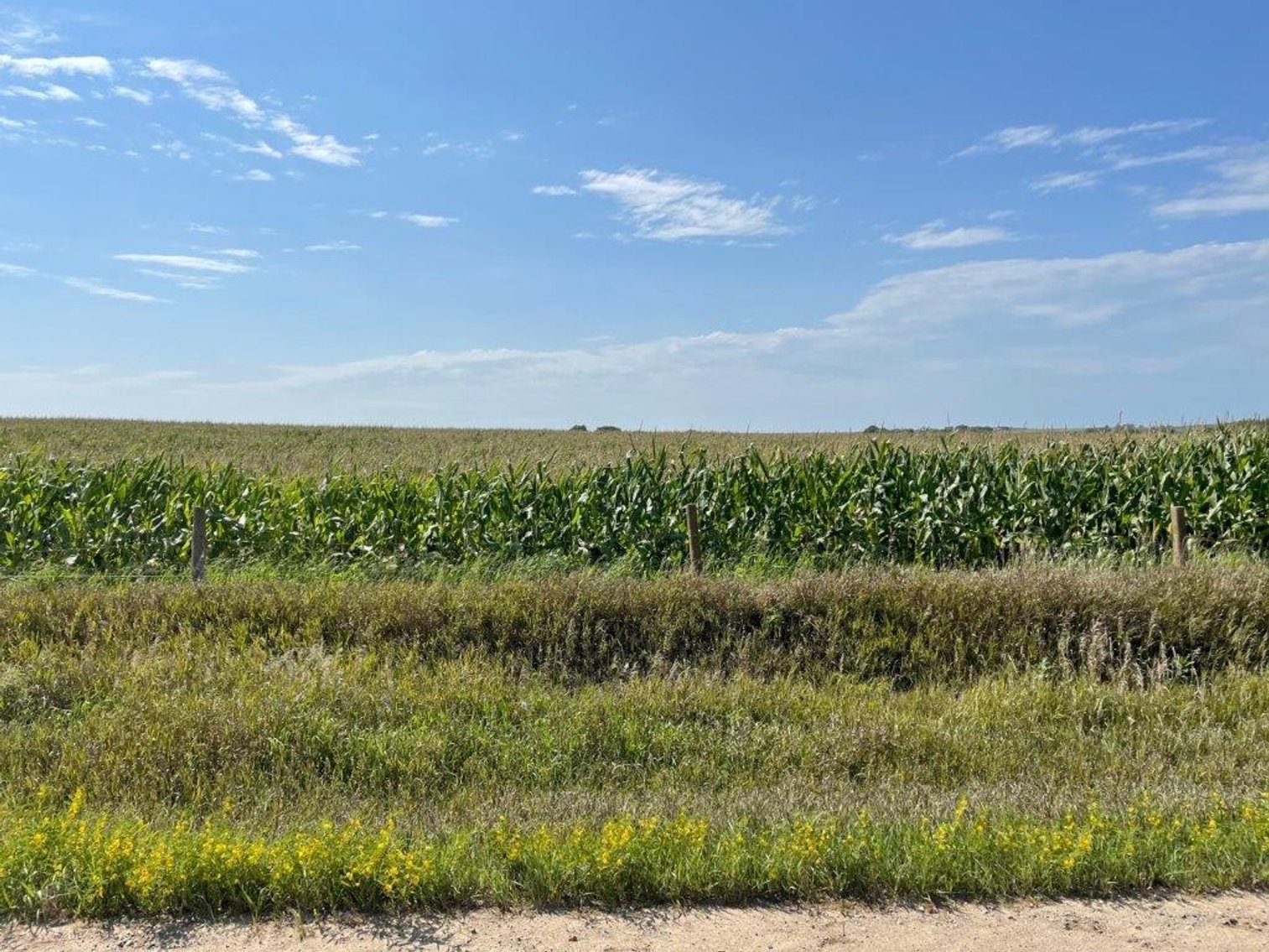 Image for Crawford County Land Auction!