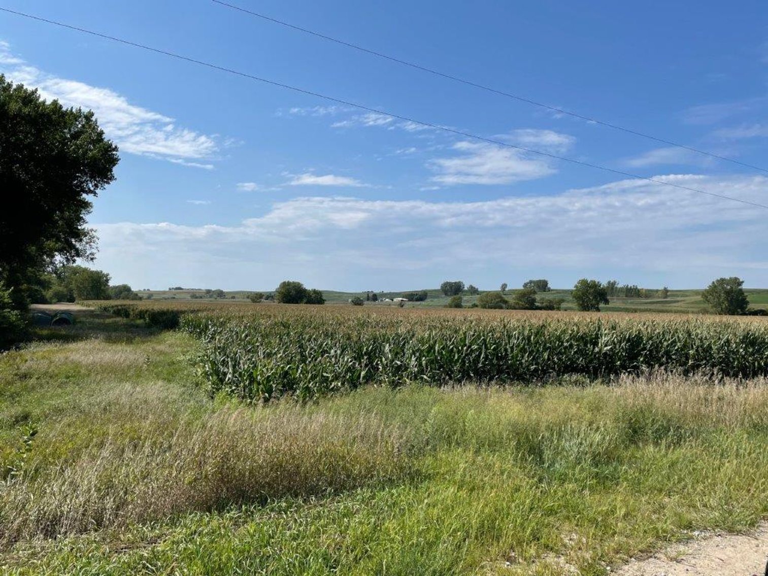 Image for Crawford County Land Auction!