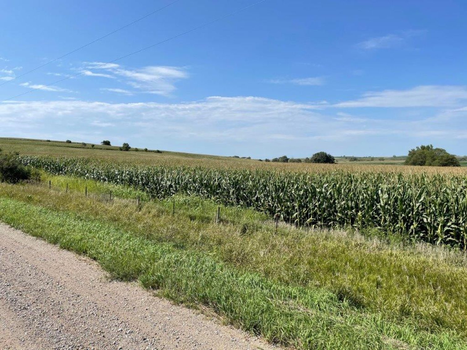 Image for Crawford County Land Auction!