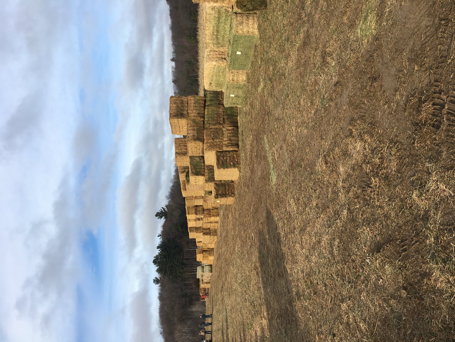 Image for MARCH HAY AND FIREWOOD AUCTION