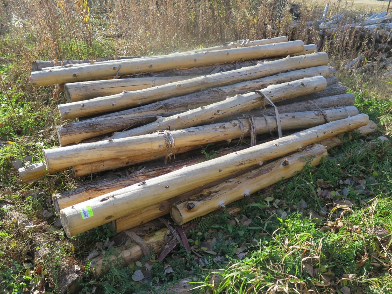 Image for Log Furniture Mfg: Woodworking Equipment, Furniture, Lumber/Log Inventory, Retail Inventory & More