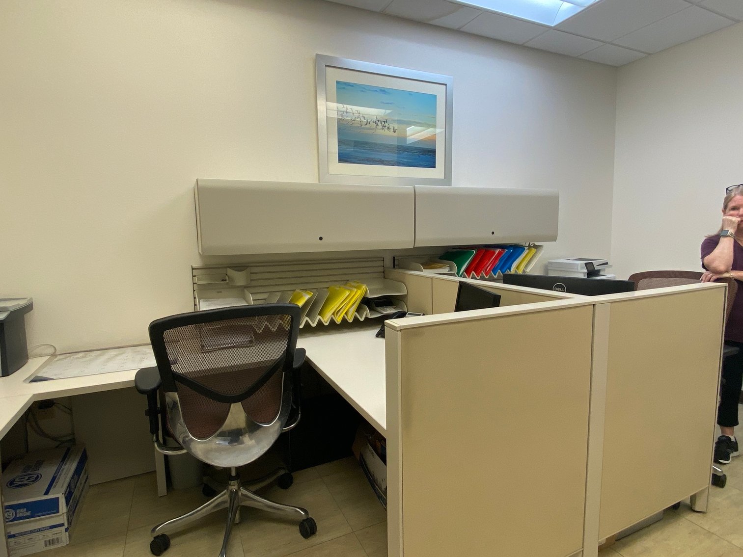 Image for High-End Medical Office Liquidation