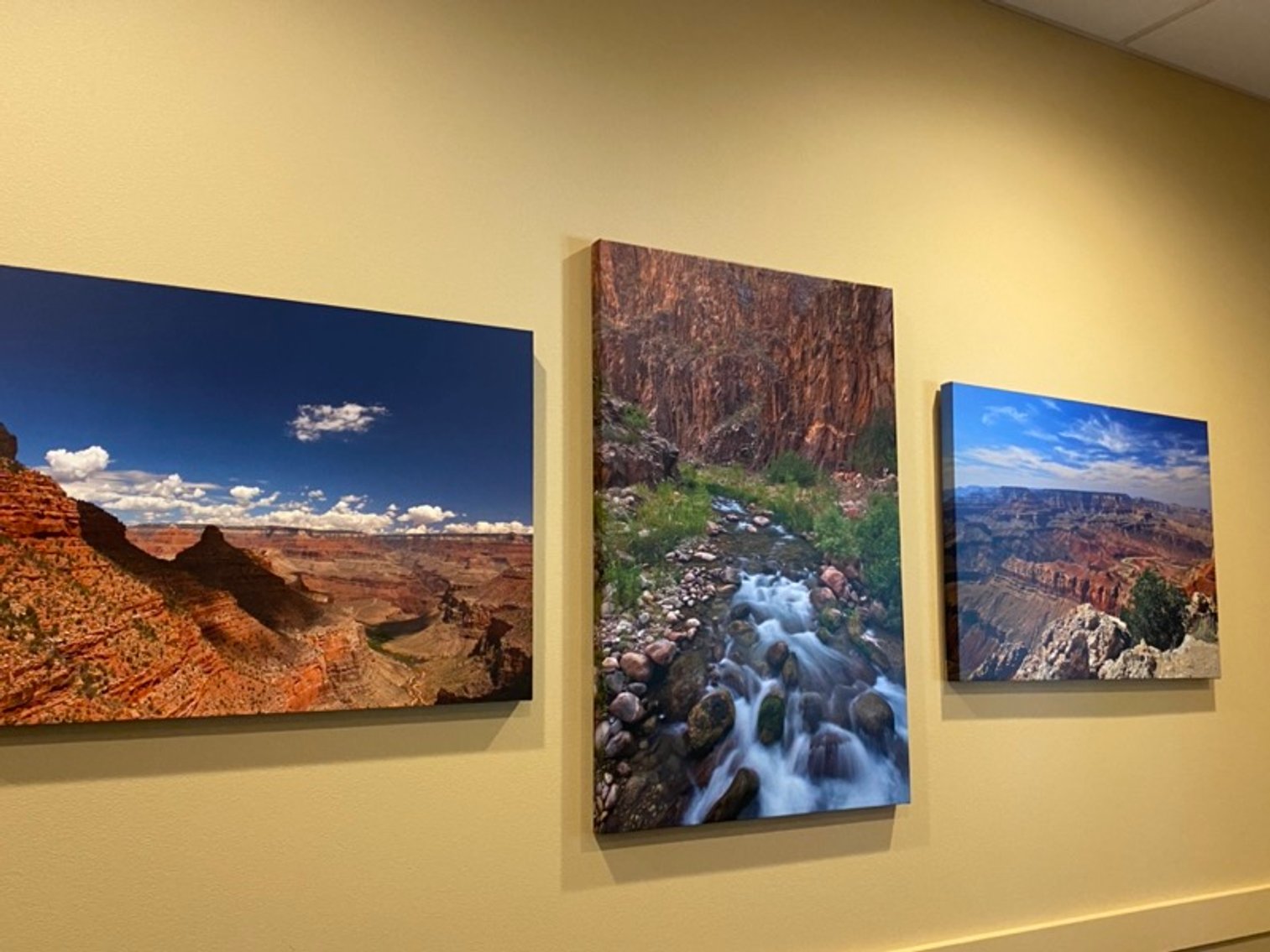 Image for High-End Medical Office Liquidation