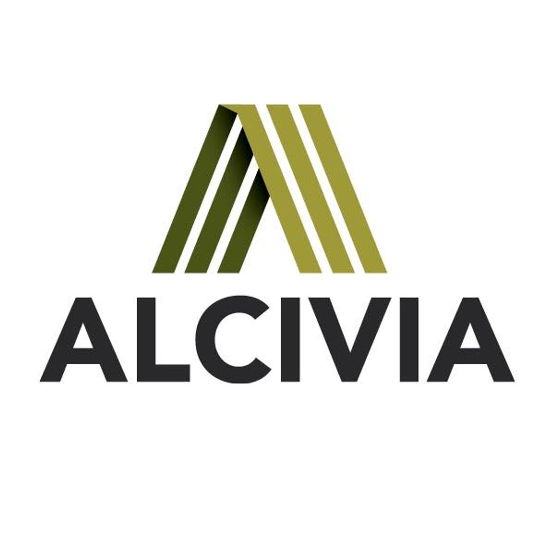 Image for ALCIVIA CO-OP AUTO CENTER LIQUIDATION