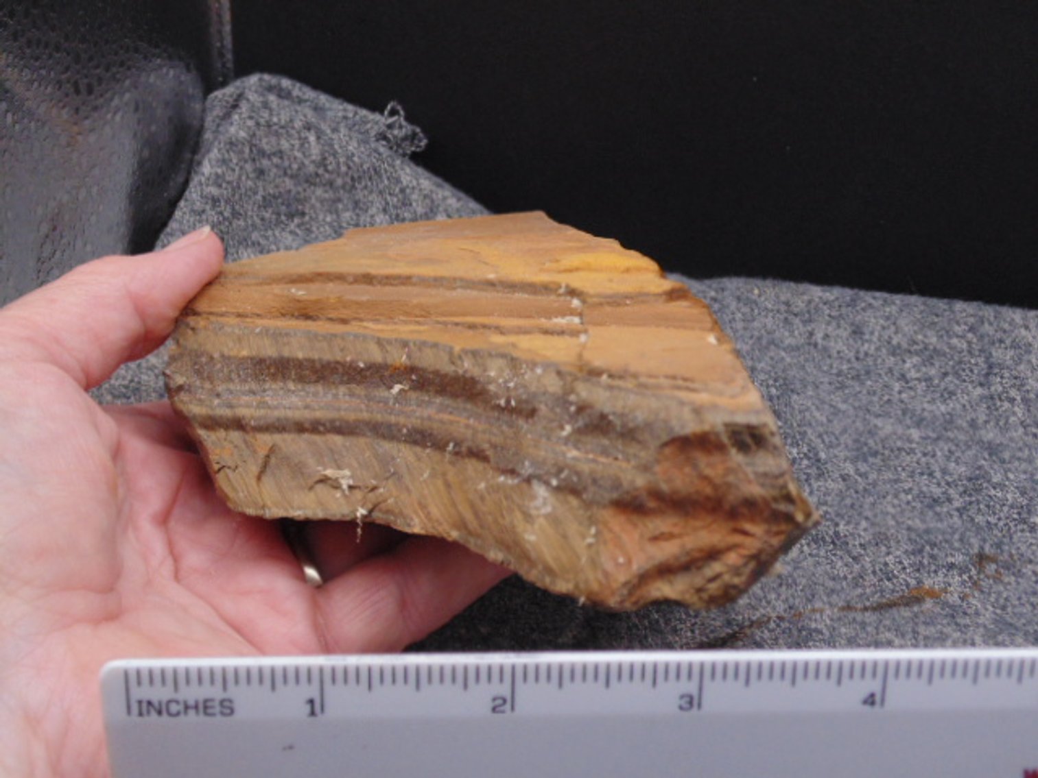 Image for Lapidary: Agates, Fossils, Jewelry, Equipment & More