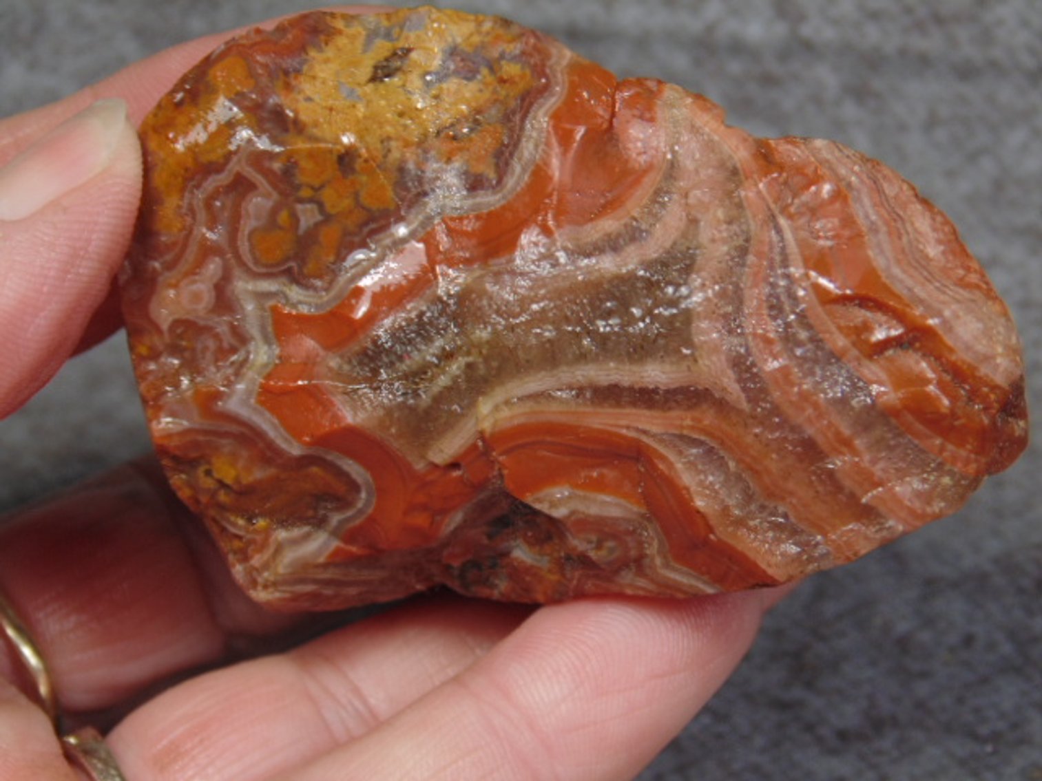 Image for Lapidary: Agates, Fossils, Jewelry, Equipment & More