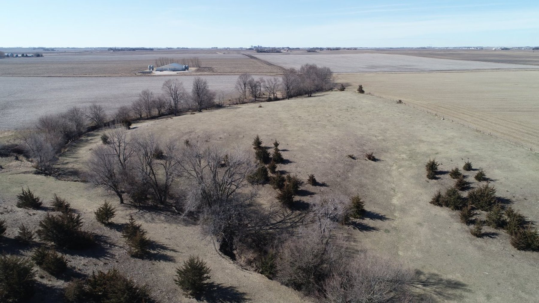 Image for Carroll County Land Auction!