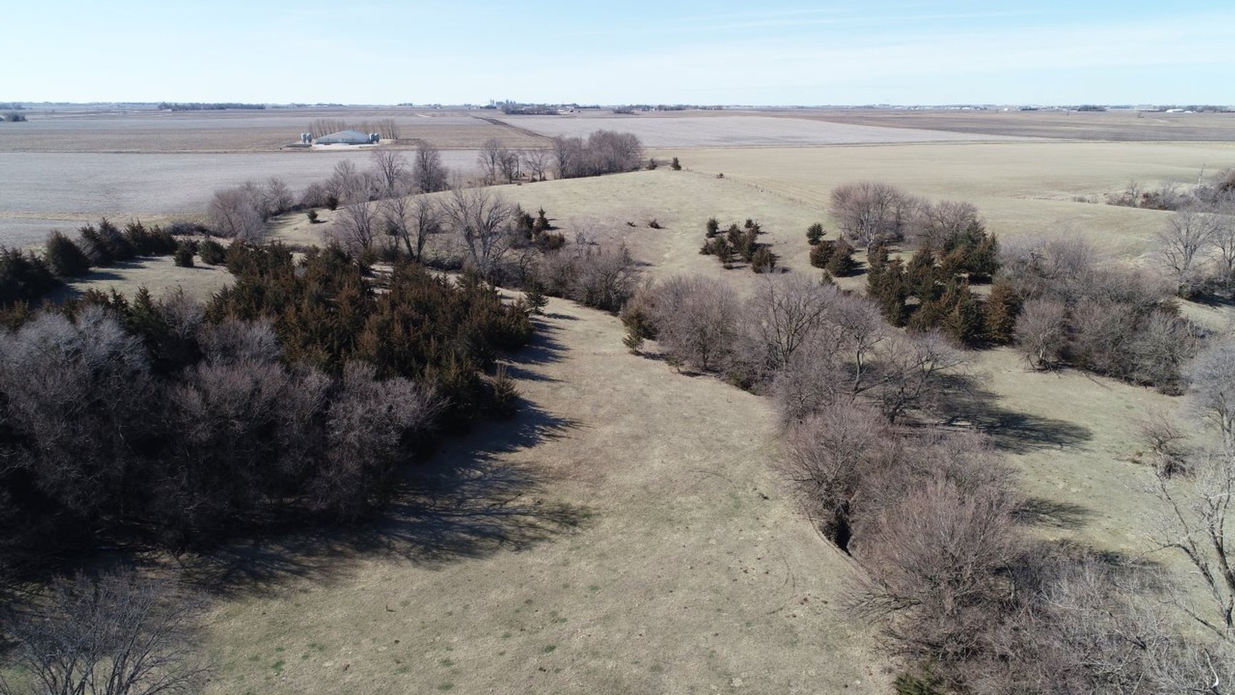 Image for Carroll County Land Auction!