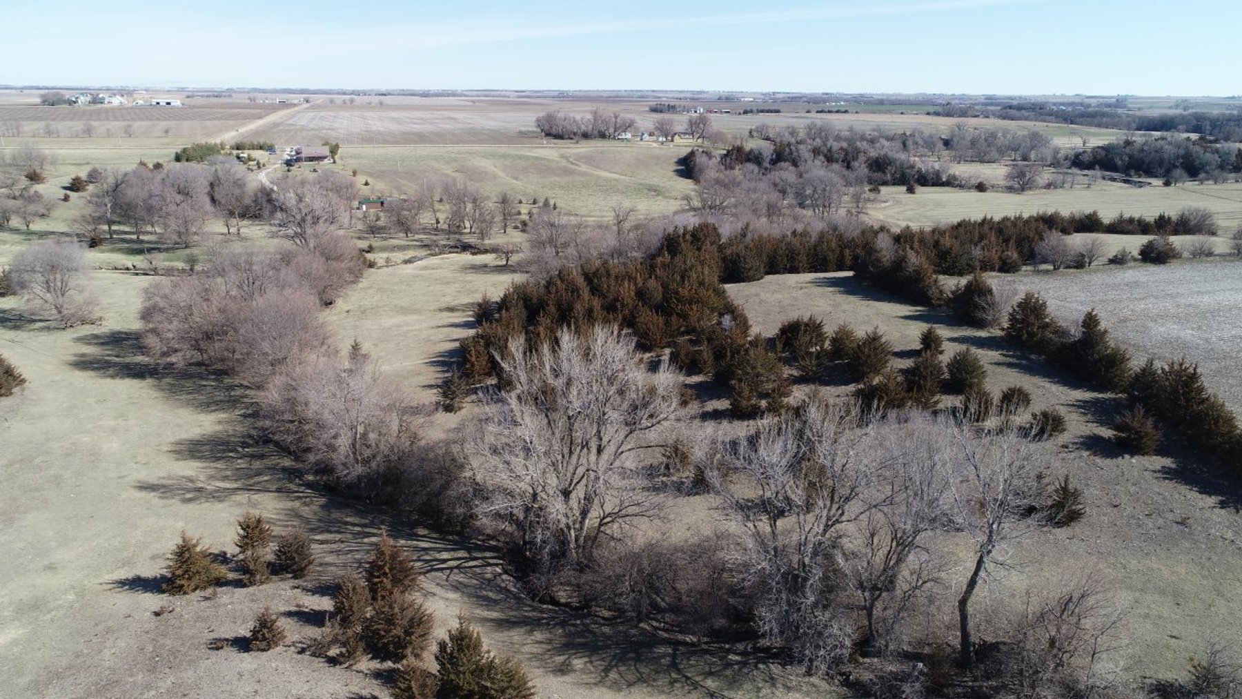 Image for Carroll County Land Auction!