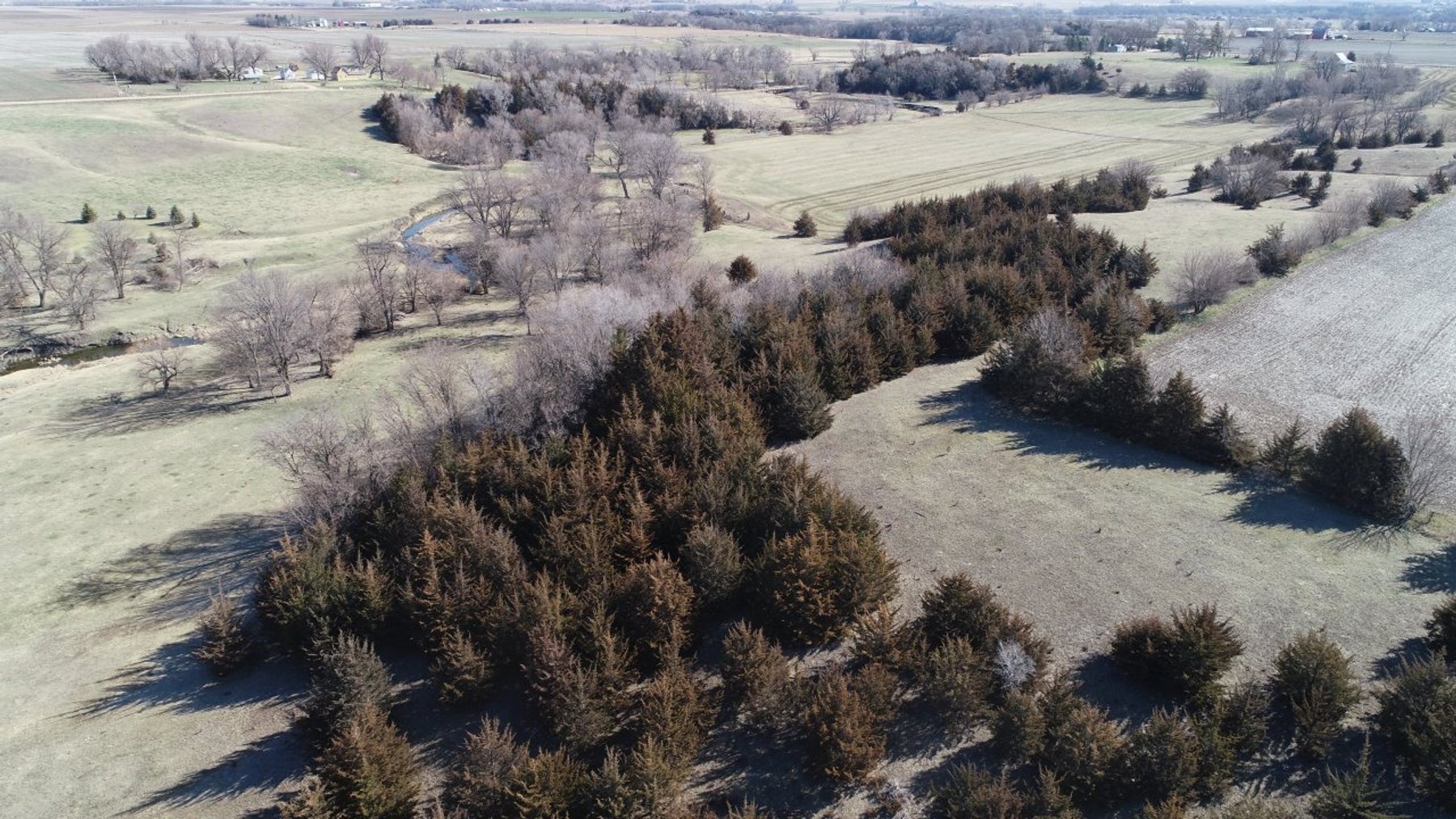 Image for Carroll County Land Auction!