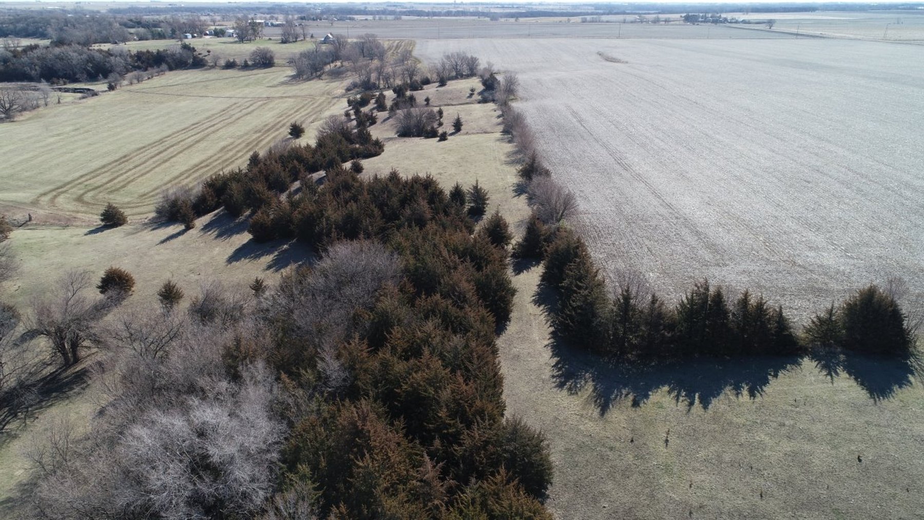 Image for Carroll County Land Auction!