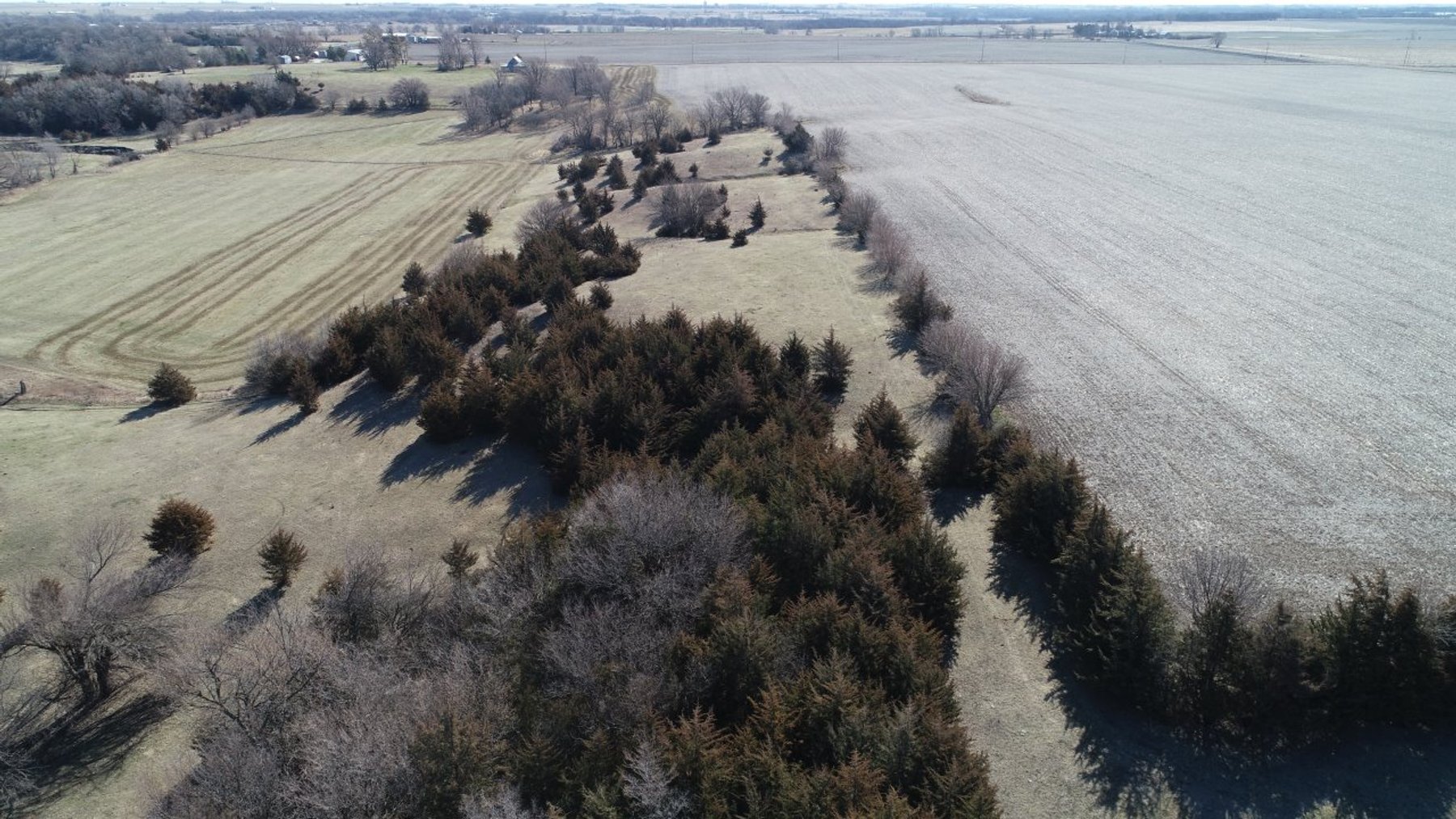 Image for Carroll County Land Auction!