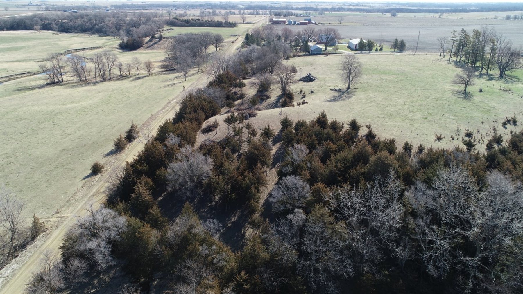 Image for Carroll County Land Auction!