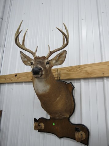 Image for Cold Springs Gallery