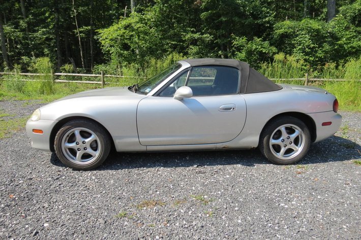 Image for Cold Springs Gallery