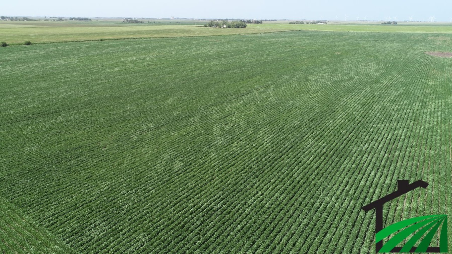 Image for Webster County Farmland Auction!