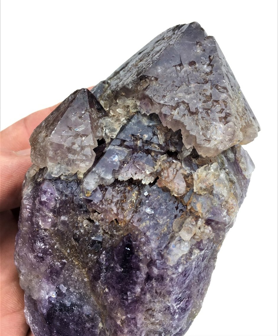 Image for Fossils, Museum Specimens, Minerals, Crystals & More