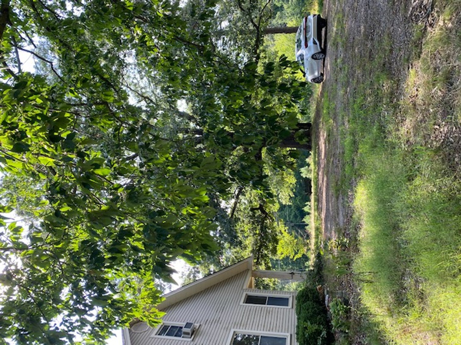 Image for William Carrel Hays Estate (deceased)