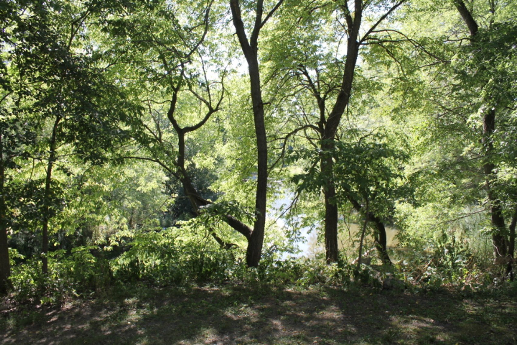 Image for Sac City Residential Home Online Only Auction!