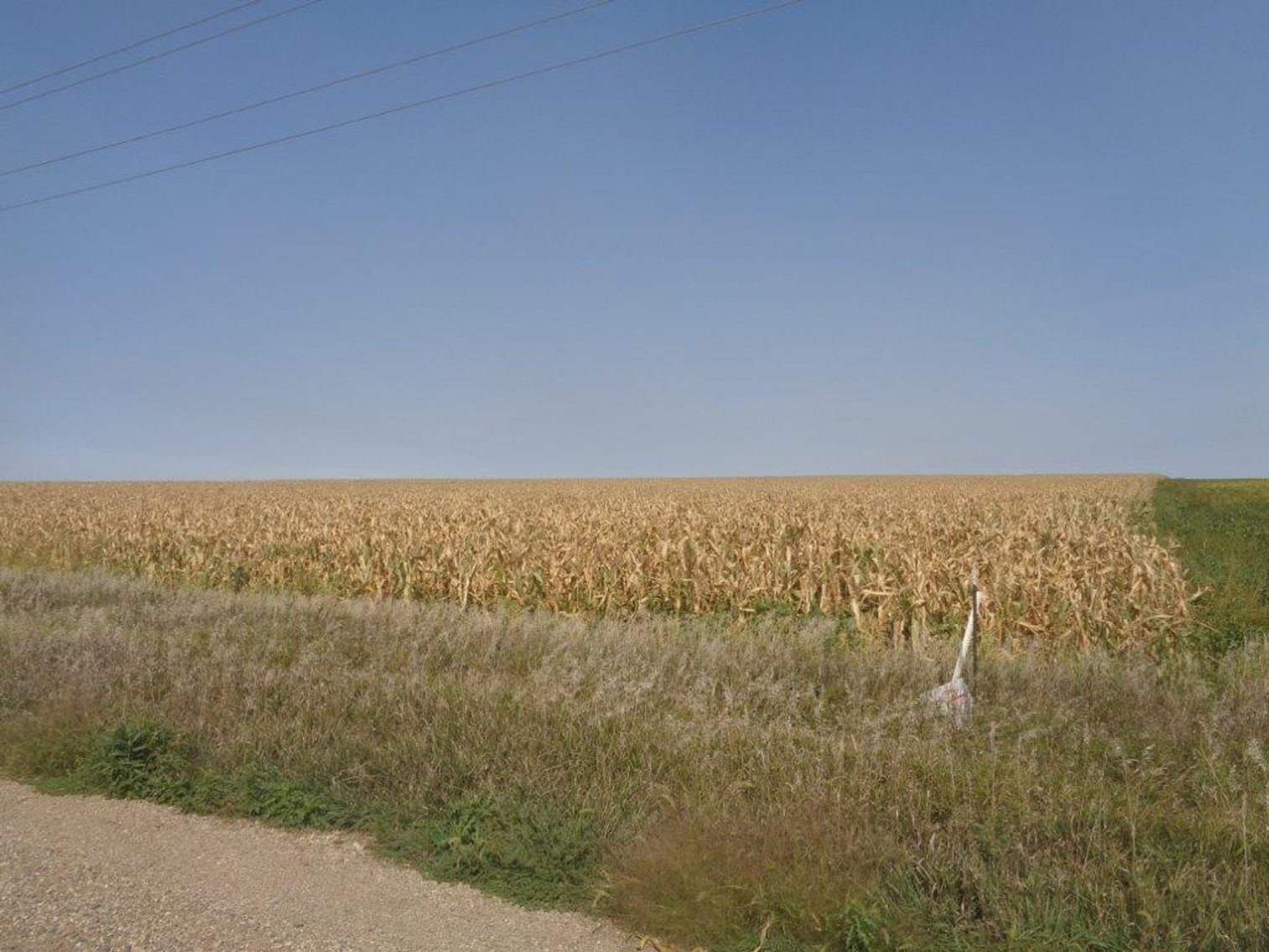 Image for Calhoun County Land Auction!