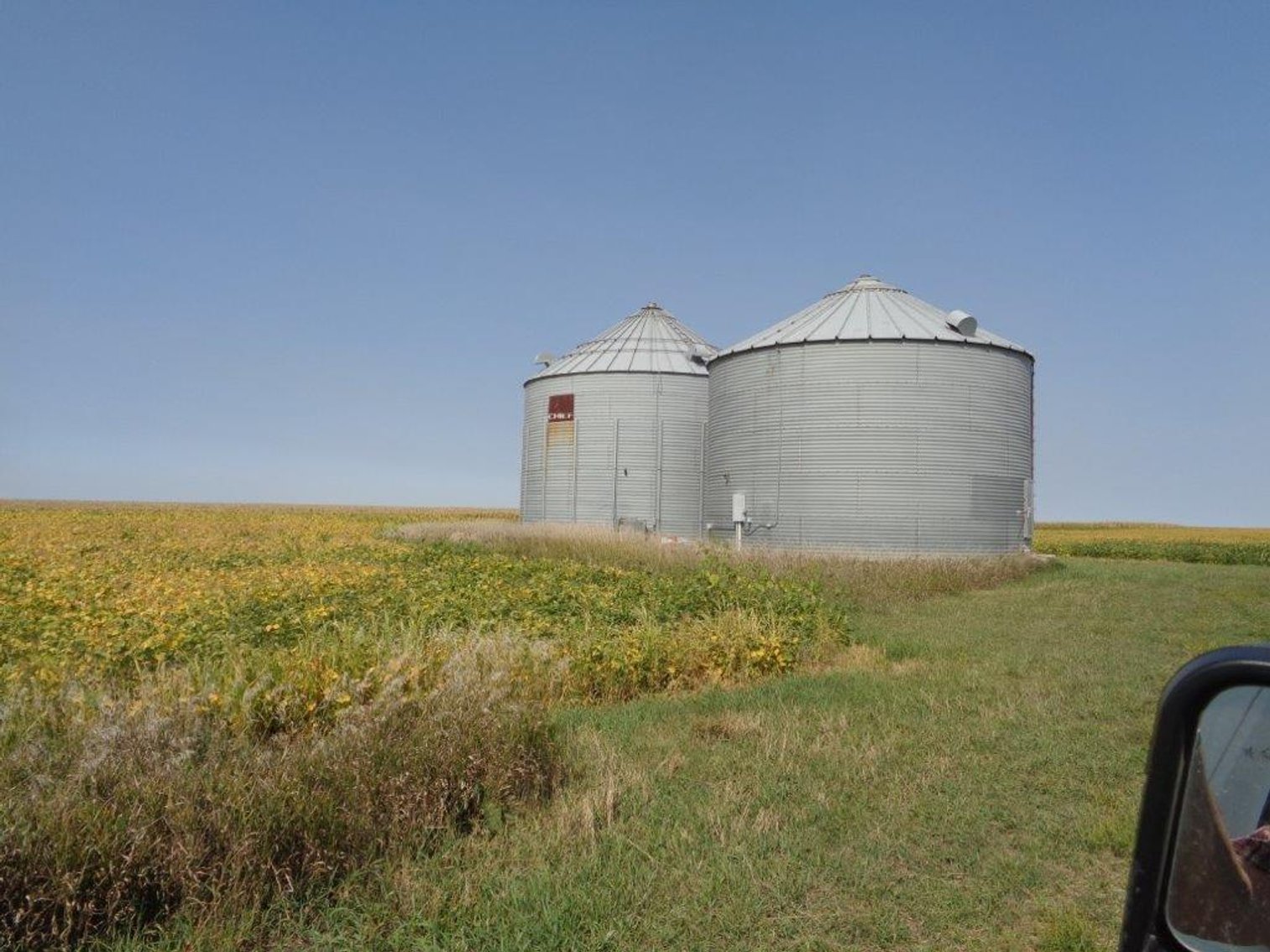 Image for Calhoun County Land Auction!