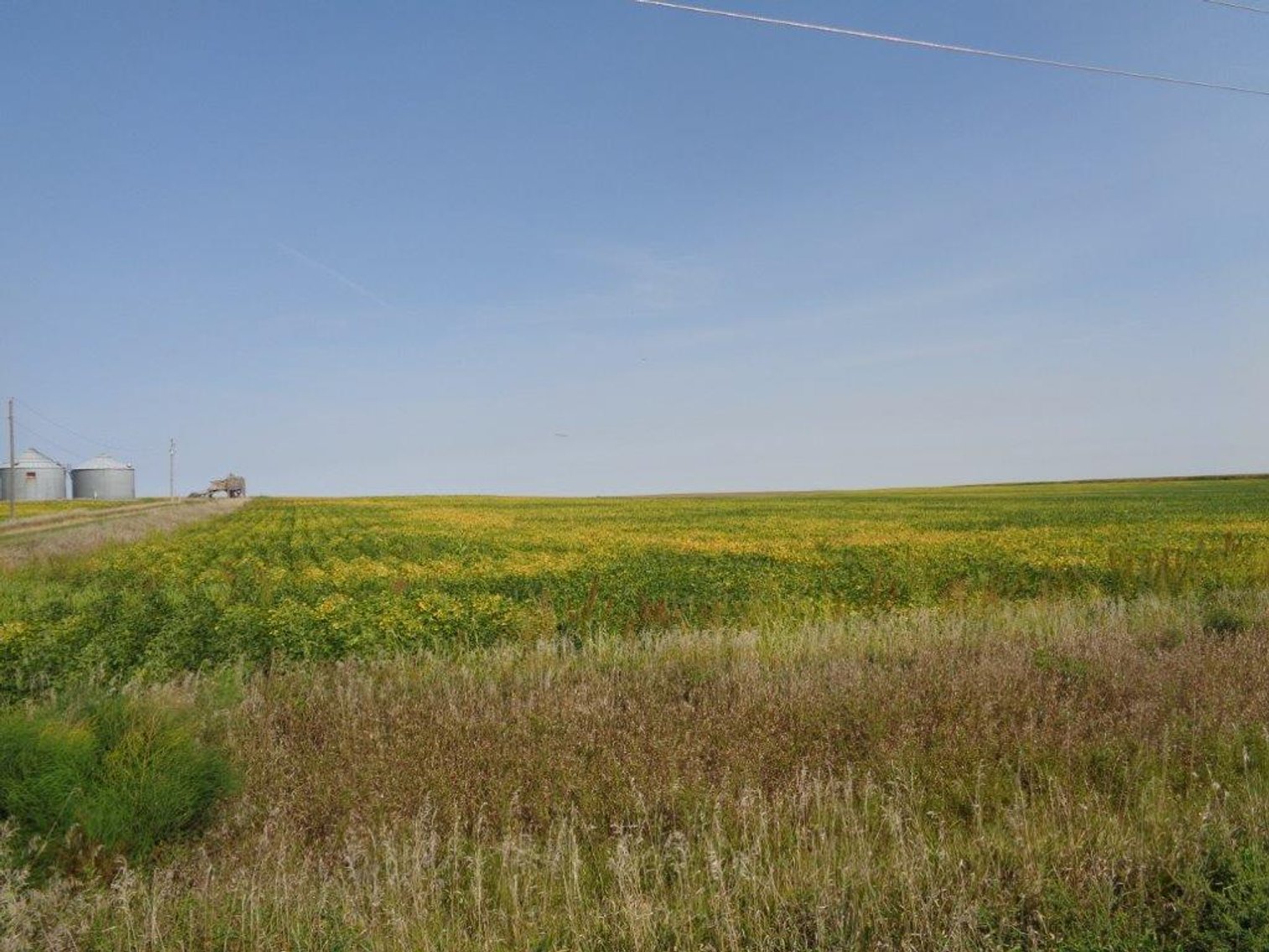 Image for Calhoun County Land Auction!