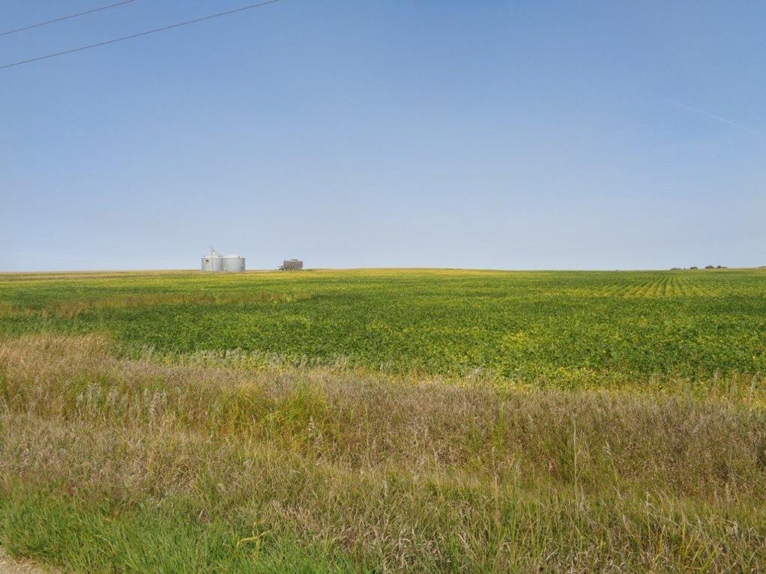 Image for Calhoun County Land Auction!