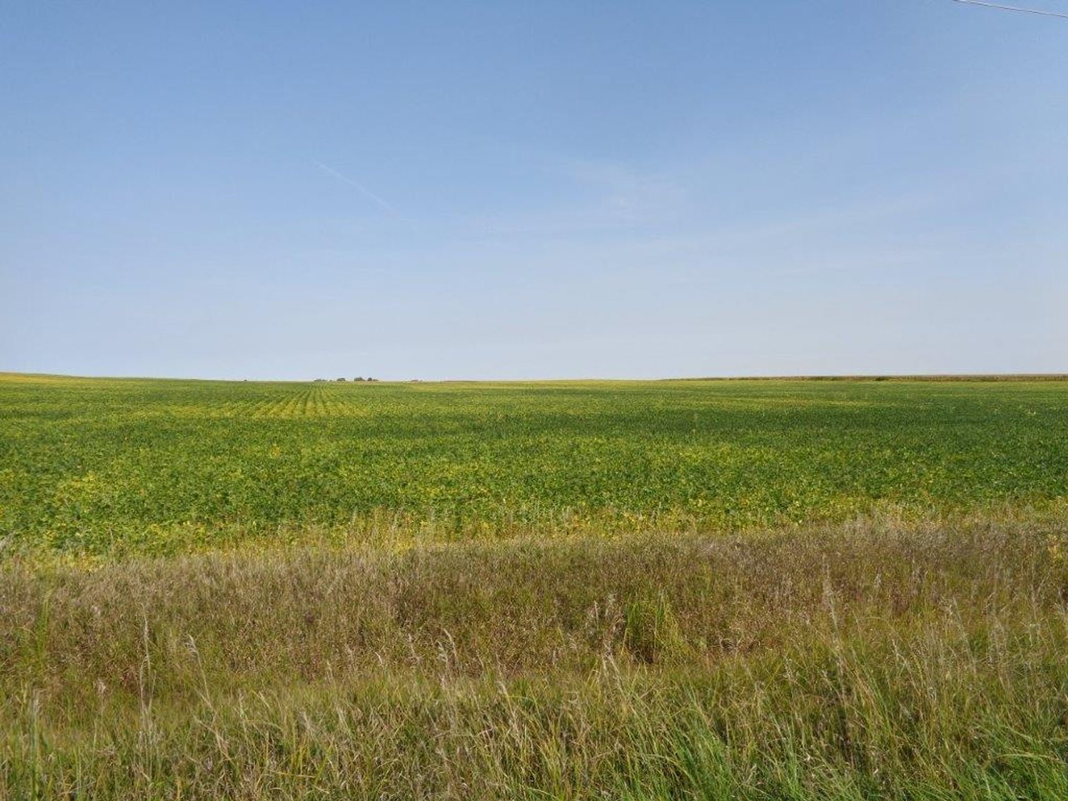 Image for Calhoun County Land Auction!