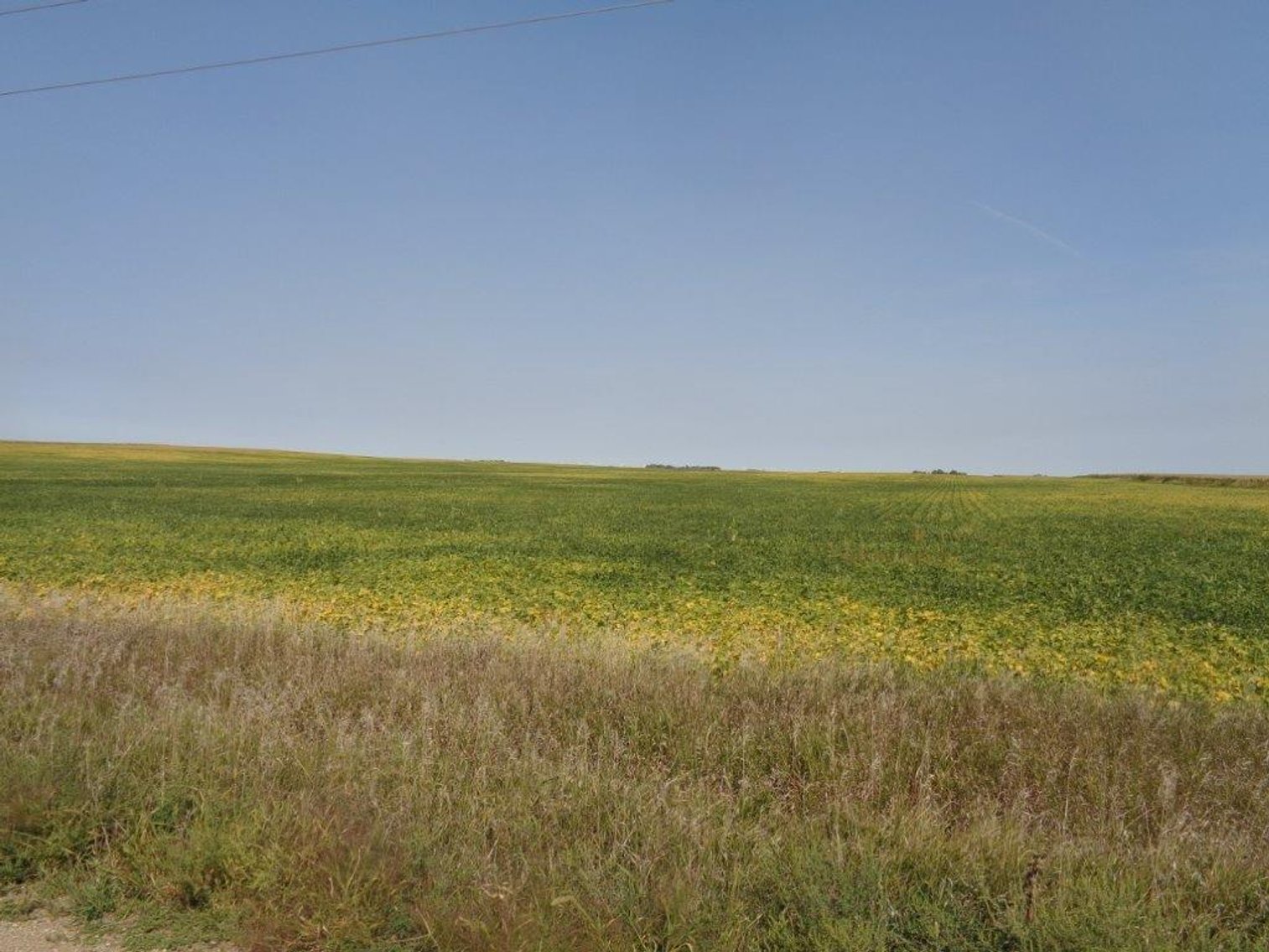 Image for Calhoun County Land Auction!
