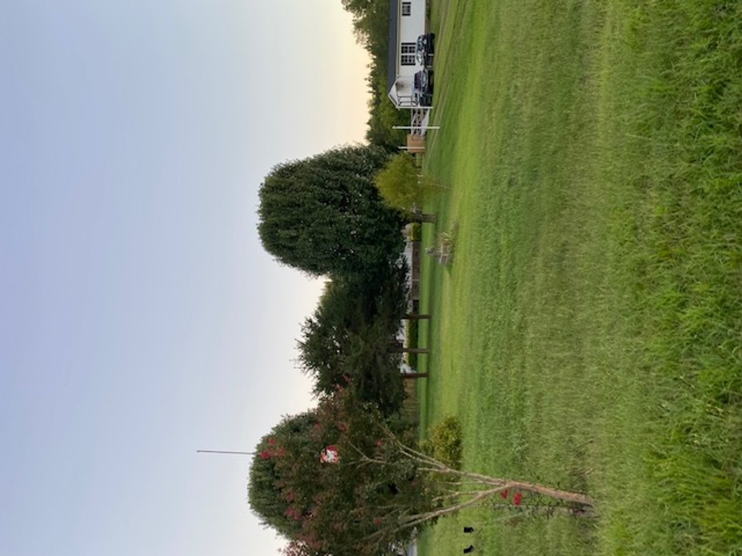 Image for Estate of Leslie H. Spear (living) ON SITE - LIVE