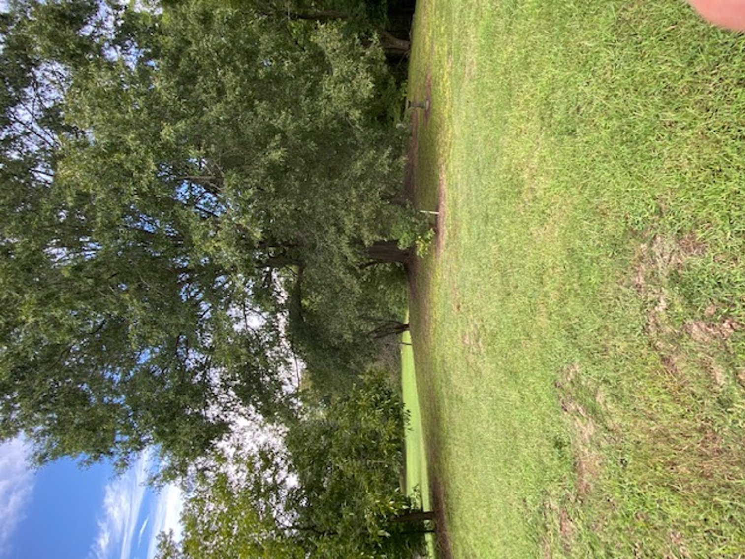 Image for 7900 US 29 Business, Reidsville, NC 27320