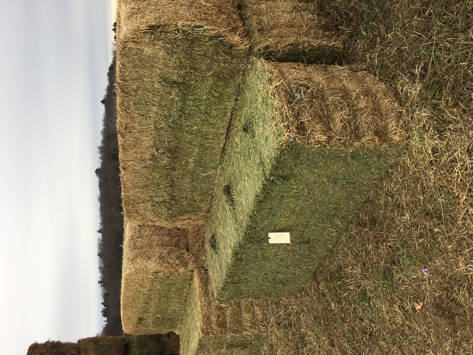 Image for EARLY FEBRUARY HAY AND FIREWOOD AUCTION