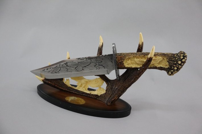 Image for Cold Springs Gallery