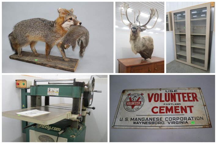 Image for Cold Springs Gallery