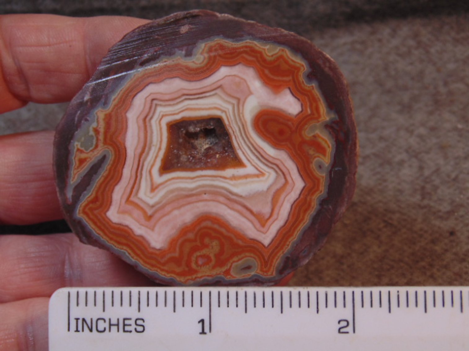 Image for Lapidary: Agates, Fossils, Equipment & More