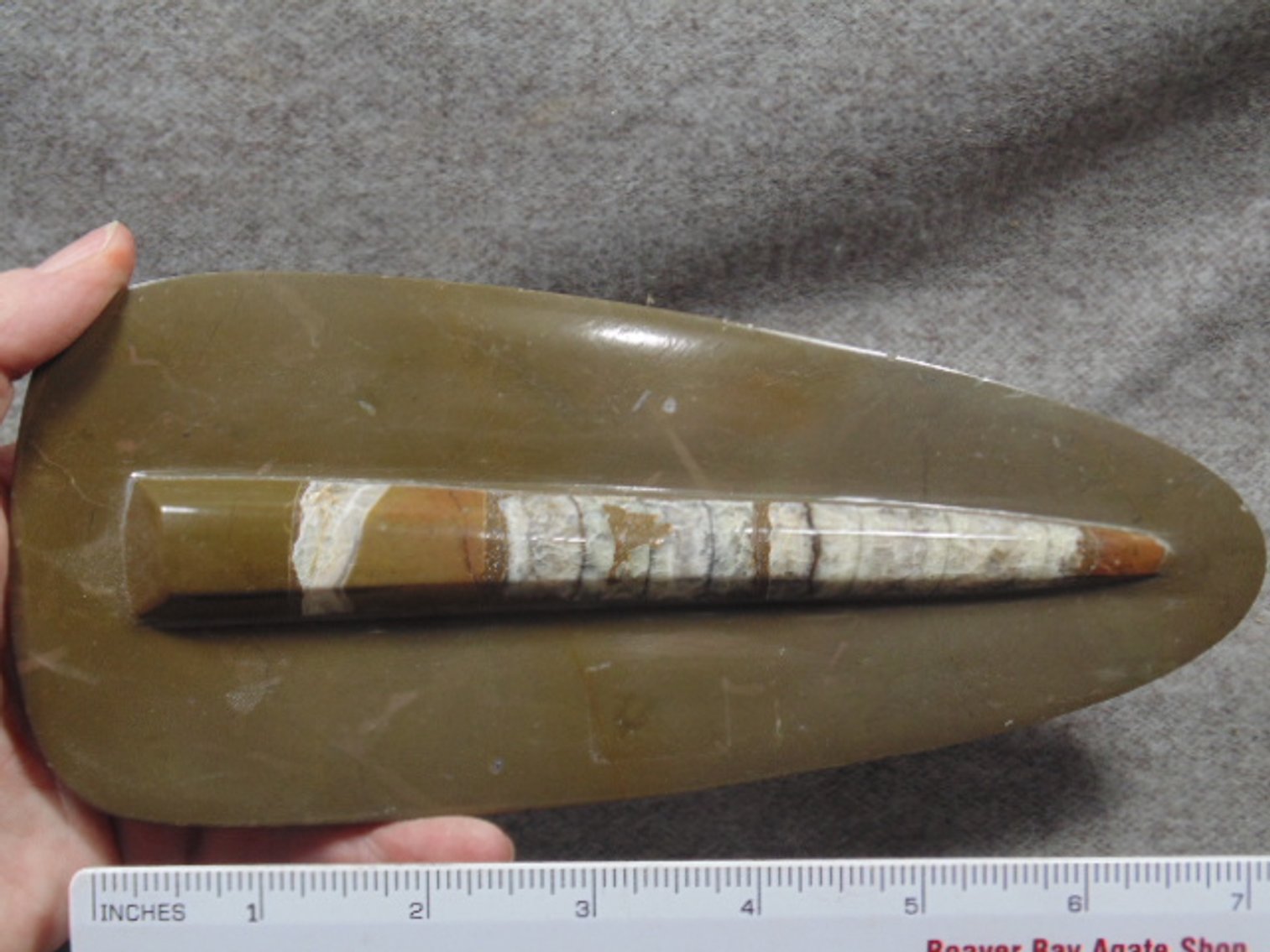 Image for Lapidary: Agates, Fossils, Equipment & More